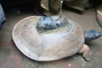 বঙ্গোপসাগরে স্যাটেলাইট যন্ত্রযুক্ত কচ্ছপ উদ্ধার!