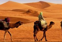 সৌদি আরবে মরুভূমির নিচে বিশাল সম্পদের সন্ধান!‌