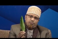    আমপাতা নিয়ে বিস্ময়কর তথ্য দিলেন মুফতী কাজী ইব্রাহিম!