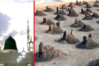 প্রিয় নবীজি (সাঃ) একদিন অনেকগুলো কবর দেখে হঠাৎ একটা কবরের সামনে গেলেন…