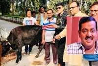 দুইটি গরু উপহার দিলেন ডিপজল