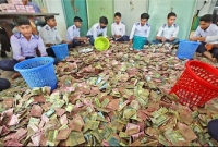 বগুড়ার মহাস্থানগড় মাজারের টাকা গুনতে সময় লাগবে দুইদিন!