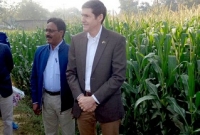  ঝিনাইদহে ভুট্টা ক্ষেত পরিদর্শন করলেন মার্কিন রাষ্ট্রদূত