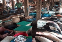 সিলেটে নামাজের সময় মাছ বিক্রি বন্ধ করার সিদ্ধান্ত নিল ব্যবসায়ীরা 