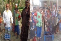 এক ভুভক্ত কুকুর উদ্ধার করলো মনিবের চুরি যাওয়া গরু! এলাকায় দারুণ চাঞ্চল্যের সৃষ্টি