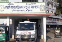 হাসপাতালের ডাস্টবিনে ২২ নবজাতকের লাশ