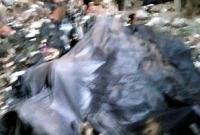 পড়ে ছিল শুধু চার বন্ধুর চারটি মাথার খুলি