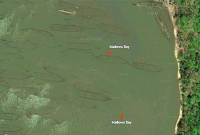 এগিয়ে আসছে ২০০ জাহাজ!