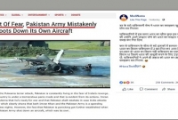 ভুলে নিজেদের যুদ্ধবিমান ভূপাতিত করল পাকিস্তান!