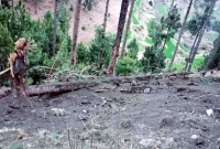 ভারতের অভিযানে মারা গেছে শুধু একটি কাক-স্থানীয়দের দাবি