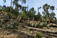  ভারতের বিমান হামলায় পাইন গাছ ক্ষতিগ্রস্ত, জাতিসংঘে বিচার চাইবে পাকিস্তান