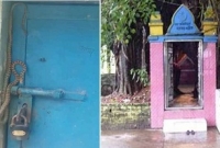 চুরি রোধে বার আউলিয়ার দরবার শরিফের দানবাক্স পাহারা দিচ্ছে এক সাপ!