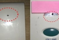 হোটেলে গোপন ক্যামেরায় সহস্রাধিক অতিথির অন্তরঙ্গ ভিডিও ধারণ!