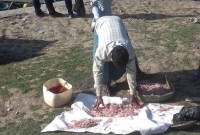 মাছ তাজা দেখাতে মেশানো হচ্ছে বিষাক্ত রং