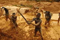 নিঃশেষ হয়ে যাচ্ছে পৃথিবীর ‘স্বর্ণ ভাণ্ডার’