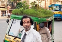 বাগান মাথায় নিয়ে শহরের পথে ছুটে চলে সবুজ অটো!