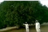 ১৫০০ বছর ধরে বেঁচে আছে রাসুল (সঃ) এর সাক্ষাৎপ্রাপ্ত বেঁচে থাকা একমাত্র সাহাবী গাছ!