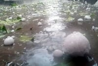 তাণ্ডব চালিয়ে পড়েছে ২০০ গ্রাম ওজনের শিলা!