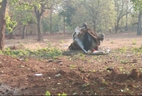 ভারতে মাওবাদীদের হামলায় বিজেপি বিধায়কসহ নিহত ৫