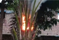 রাজশাহীতে বজ্রপাতে পাম গাছে আগুন 