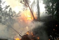 বাঁশ সংগ্রহ করার সময় হেলিকপ্টার থেকে গুলি করে হত্যা 