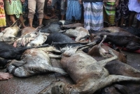 বন্ধ দোকানে ভয়াবহ আগুনে পুড়ে মরল অর্ধশতাধিক প্রাণী