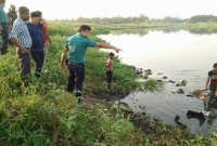 গাজীপুরে মদের খনি আবিষ্কার!