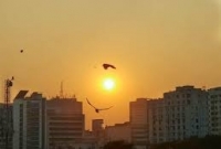 প্রচণ্ড গরম, রক্ষা পেতে সূর্যের বিরুদ্ধে মামলা!