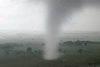 ভিডিও ফুটেজ ধরা পড়েছে যা এককথায় অবিশ্বাস্য!