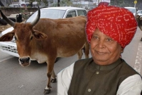 গরুর গুঁতোয় পাঁজর ভেঙে আইসিইউতে বিজেপি এমপি