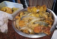 ধানসিঁড়ির ফ্রিজ খুলতেই দুর্গন্ধ, মিললো ২৭০০ টাকার পচা হাঁসভুনা!