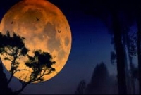  নিজের দু’মাসের সন্তানের জন্য চাঁদে এক একর জমি কিনলেন বাবা!