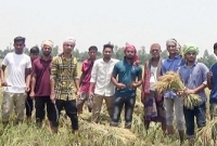 ক্ষেতে আগুন দেওয়া সেই কৃষকের ধান কেটে দিলেন শিক্ষার্থীরা!