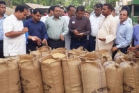 কৃষকরা ন্যায্য মূল্য পেতে বাড়ি বাড়ি গিয়ে ধান কিনছেন জেলা প্রশাসক ও খাদ্য কর্মকর্তারা