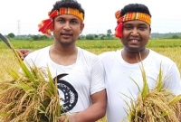 টানা ৬ ঘণ্টা কৃষকের ধান কাটলেন ছাত্রলীগ সভাপতি শোভন!