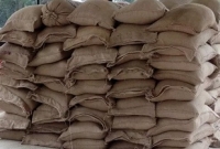 ইউপি চেয়ারম্যানের কাছে মিলল অতিদরিদ্রদের জন্য বরাদ্দকৃত ১৭৪ বস্তা চাল