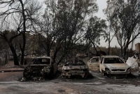 ভয়াবহ দাবানলে বড় বেকায়দায় ইসরায়েল!