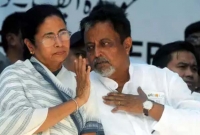মুসলমানরা কি মমতা ব্যানার্জীর কাছে গরু? আক্রমণাত্মক প্রশ্ন মুকুল রায়ের