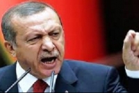 আরব রাষ্ট্রগুলো বিশ্বাসঘা'তক, তারা মুসলিমদের পাশে দাঁড়াতে ব্যর্থ হয়েছে: এরদোগান