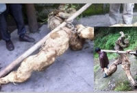 কোটি টাকার দুষ্প্রাপ্য জিনিস দুই কৃষক বেচলেন পানির দরে!