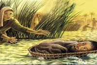 মুসা (আঃ)কে শিশুকালে একটি জুড়িতে করে কেন নদীতে ভাসিয়ে দিয়েছিলেন তাঁর মা?