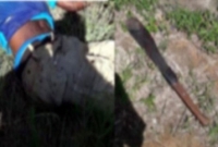 মেয়ের ধর্ষককে প্রকাশ্যে কুপিয়ে হত্যা করলেন বাবা