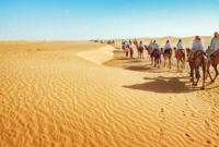 খলিফা থাকার সময়ও এক মাসের বেতন ধার চেয়ে পাননি হযরত ওমর (রা:)