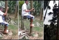 গাছে চড়ার বাইক! বিস্ময়কর উদ্ভাবন কৃষকের!