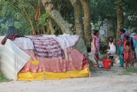 নদীর ভাঙনে সহায়-সম্বলহারা ১২ পরিবারে নেই ঈদ, নেই দুঃখ দেখার কেউ