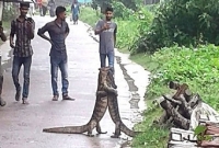 ‘গুই সাপে’র ঈদ পালন, ঐতিহাসিক কোলাকুলি!