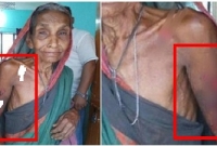 মৌলভীবাজারে বৃদ্ধা মাকে পিটিয়ে রক্তাক্ত করলো পাষন্ড ছেলে