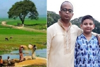 নাড়ীর নীড়ে 