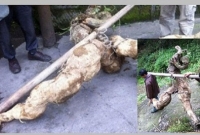 কোটি টাকার দুষ্প্রাপ্য জিনিস দুই কৃষক বেচলেন পানির দরে!