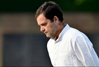 কাশ্মীরে ঢুকতে দেওয়া হলো না রাহুল গান্ধীকে